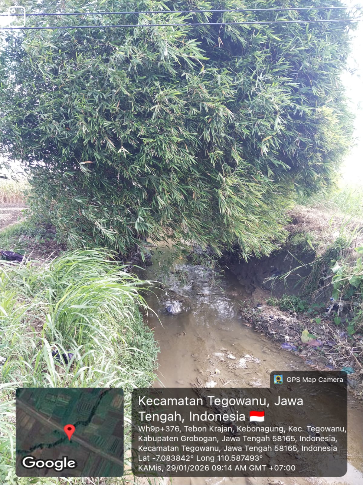 Foto Usulan