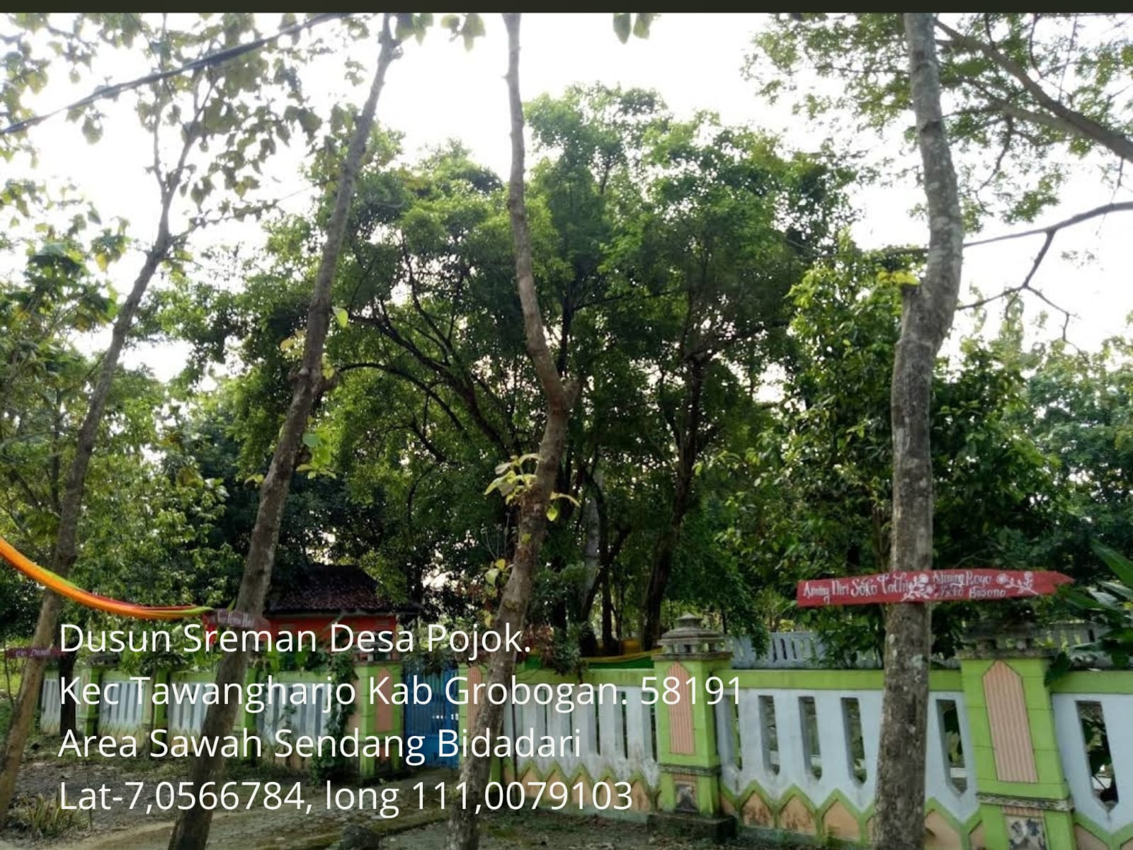Foto Usulan