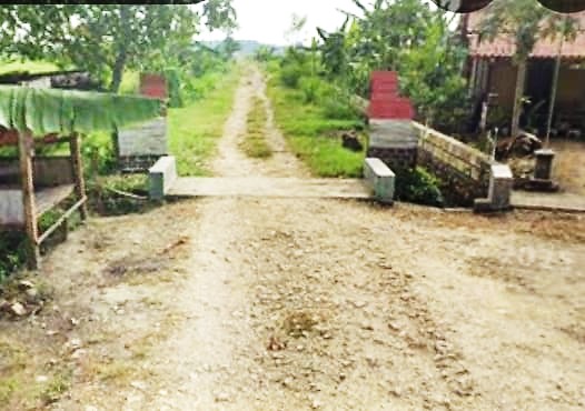 Foto Usulan