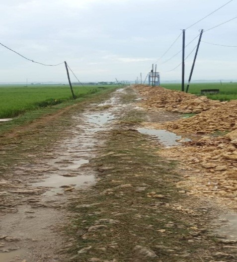 Foto Usulan