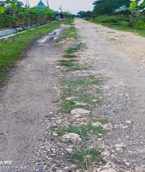 Foto Usulan