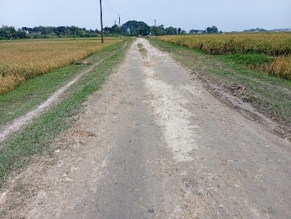 Foto Usulan