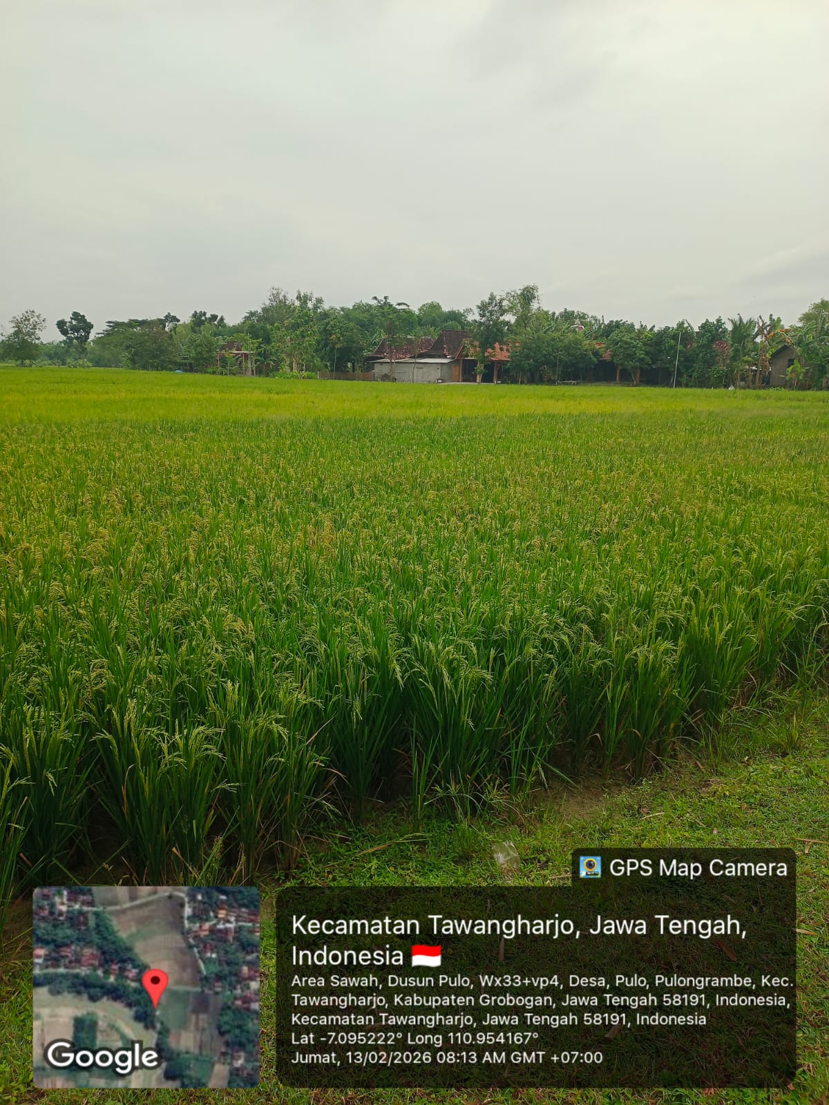 Foto Usulan