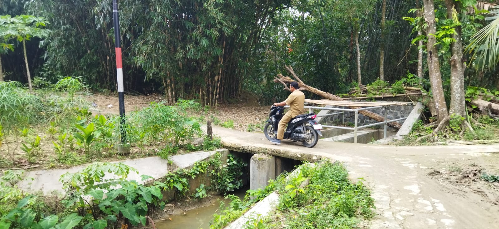Foto Usulan
