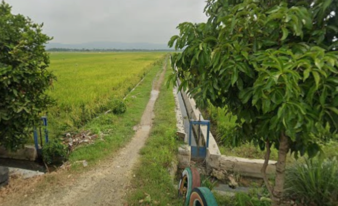 Foto Usulan