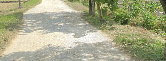 Foto Usulan