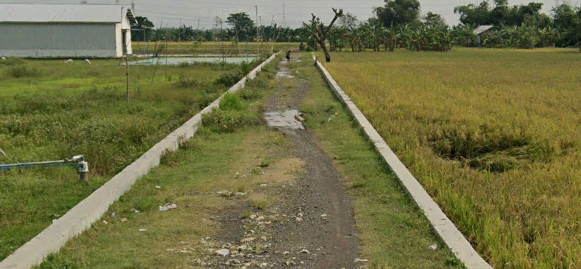 Foto Usulan