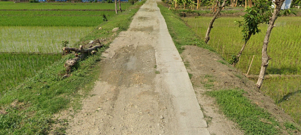 Foto Usulan