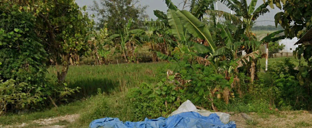 Foto Usulan