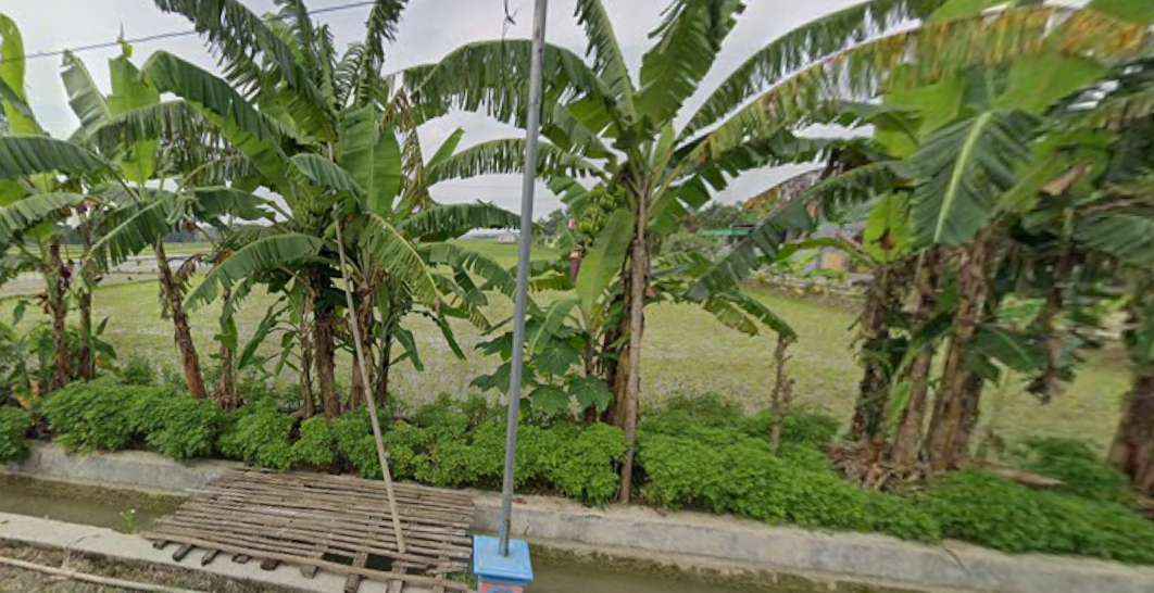 Foto Usulan