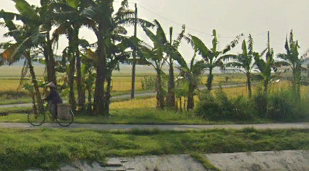 Foto Usulan