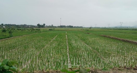 Foto Usulan