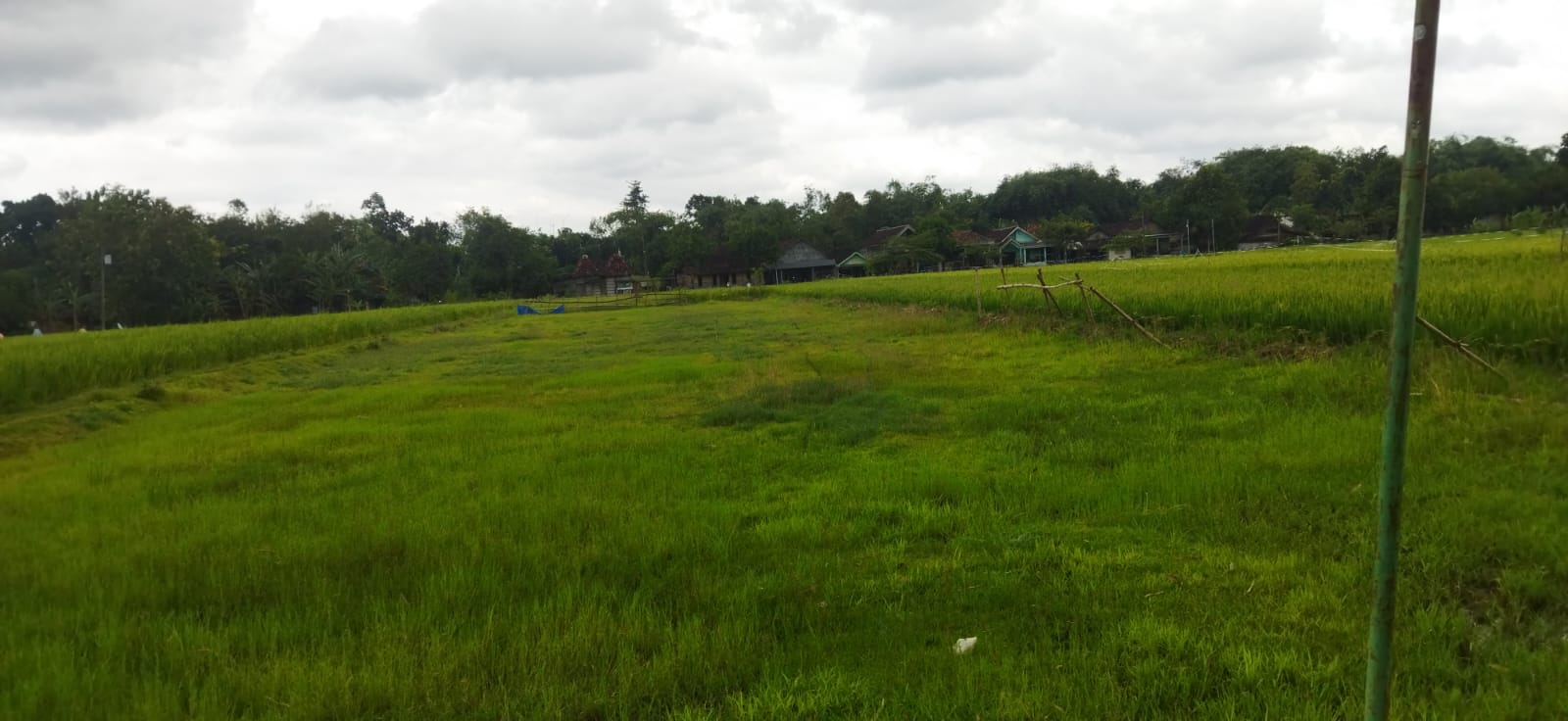 Foto Usulan