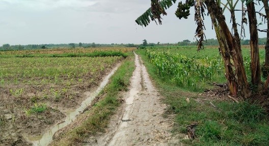 Foto Usulan