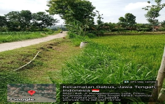 Foto Usulan