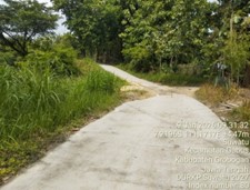 Foto Usulan