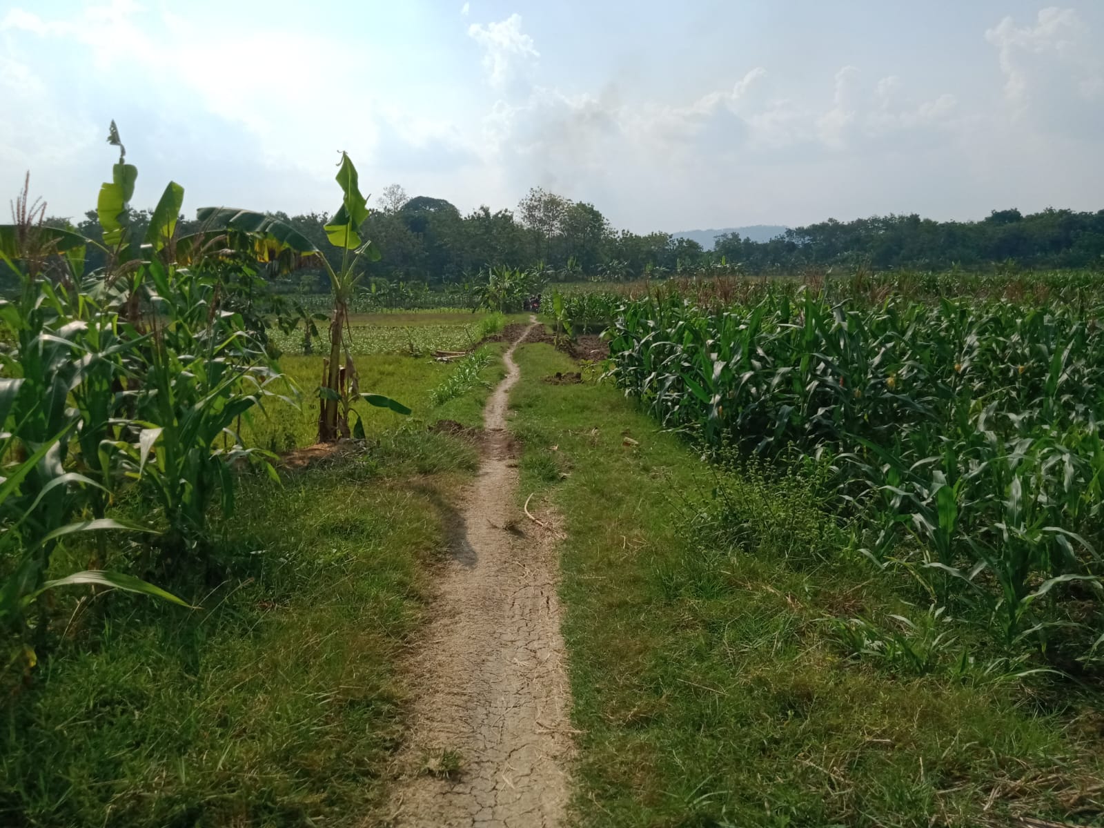 Foto Usulan