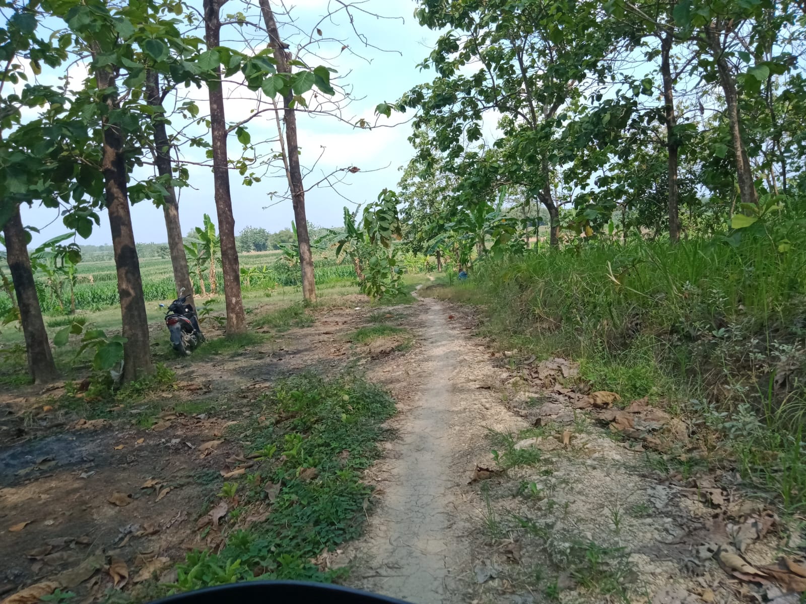Foto Usulan