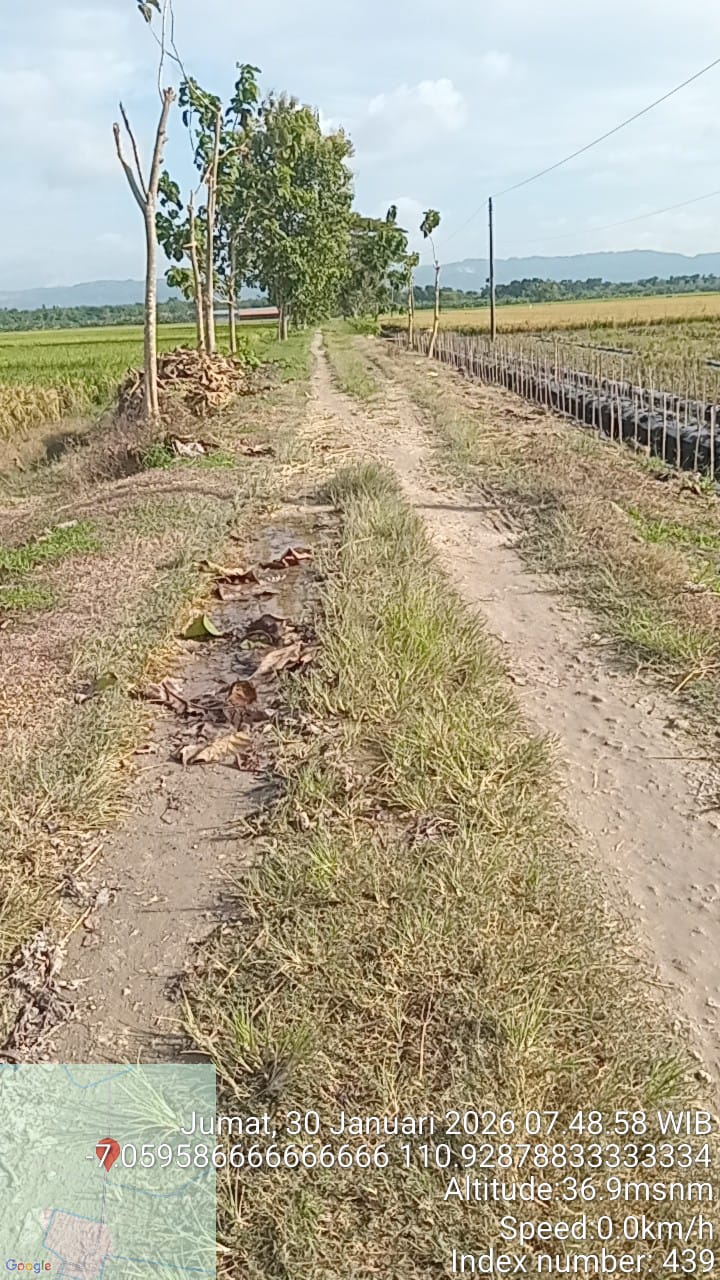 Foto Usulan