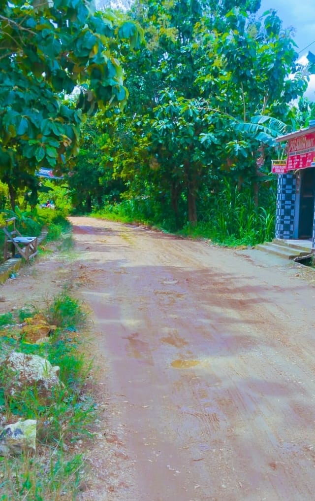 Foto Usulan
