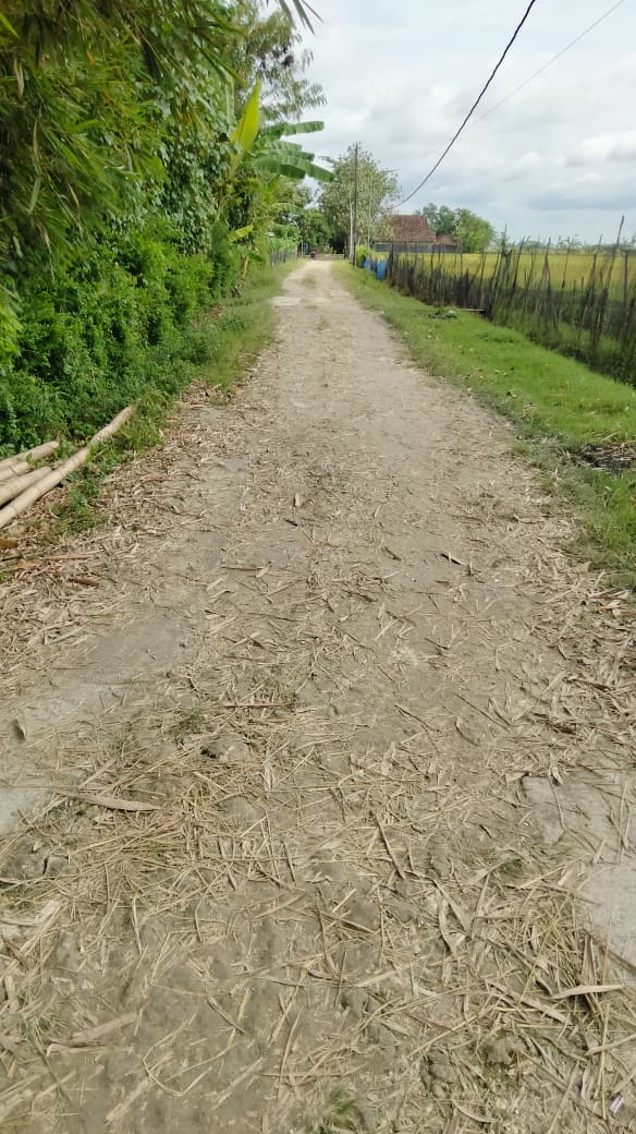 Foto Usulan