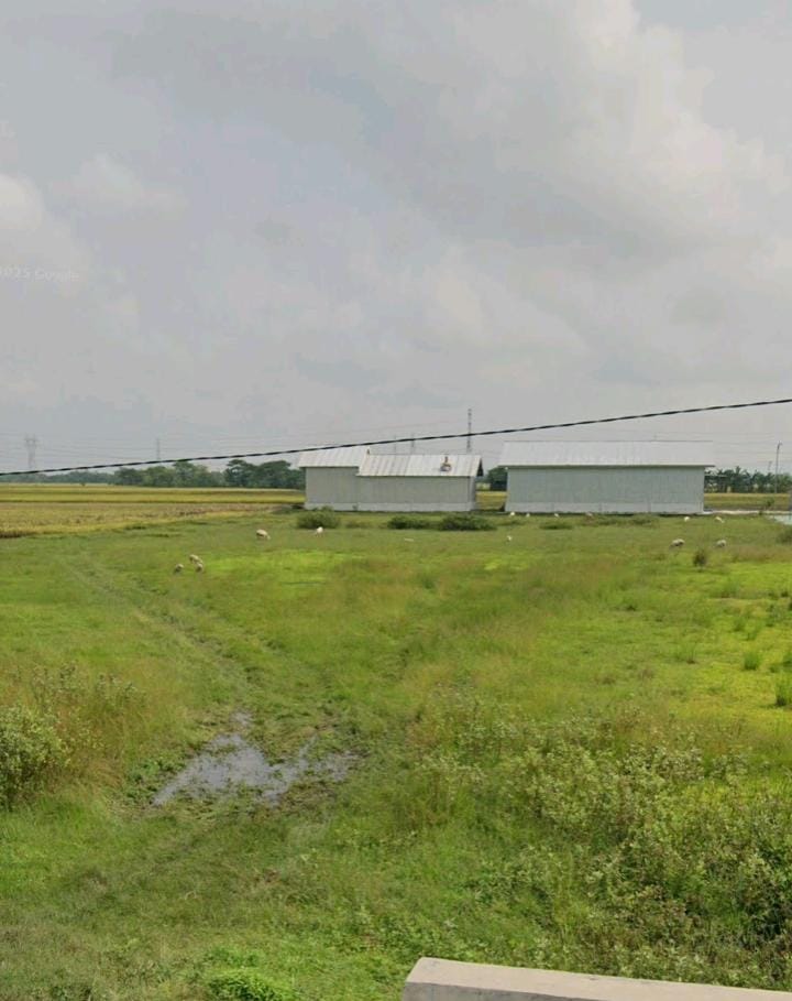 Foto Usulan