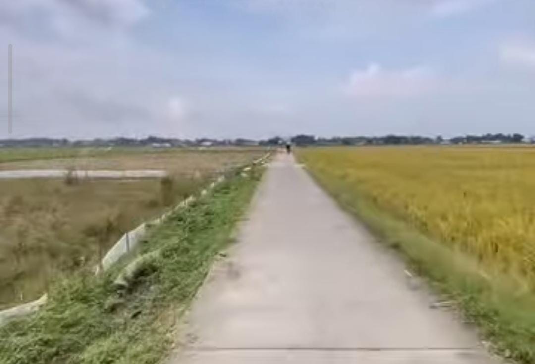 Foto Usulan