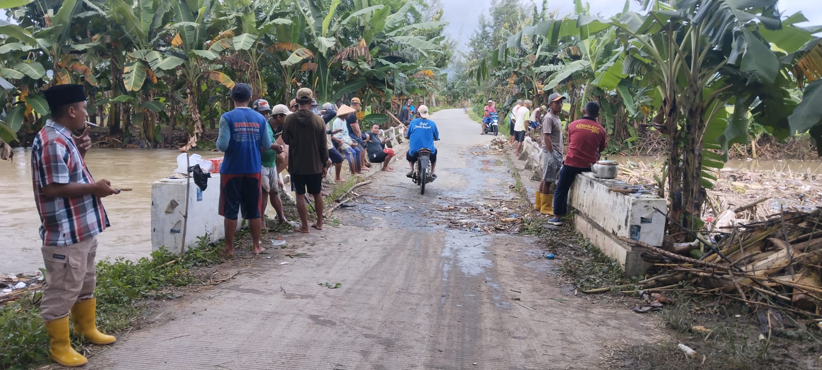 Foto Usulan