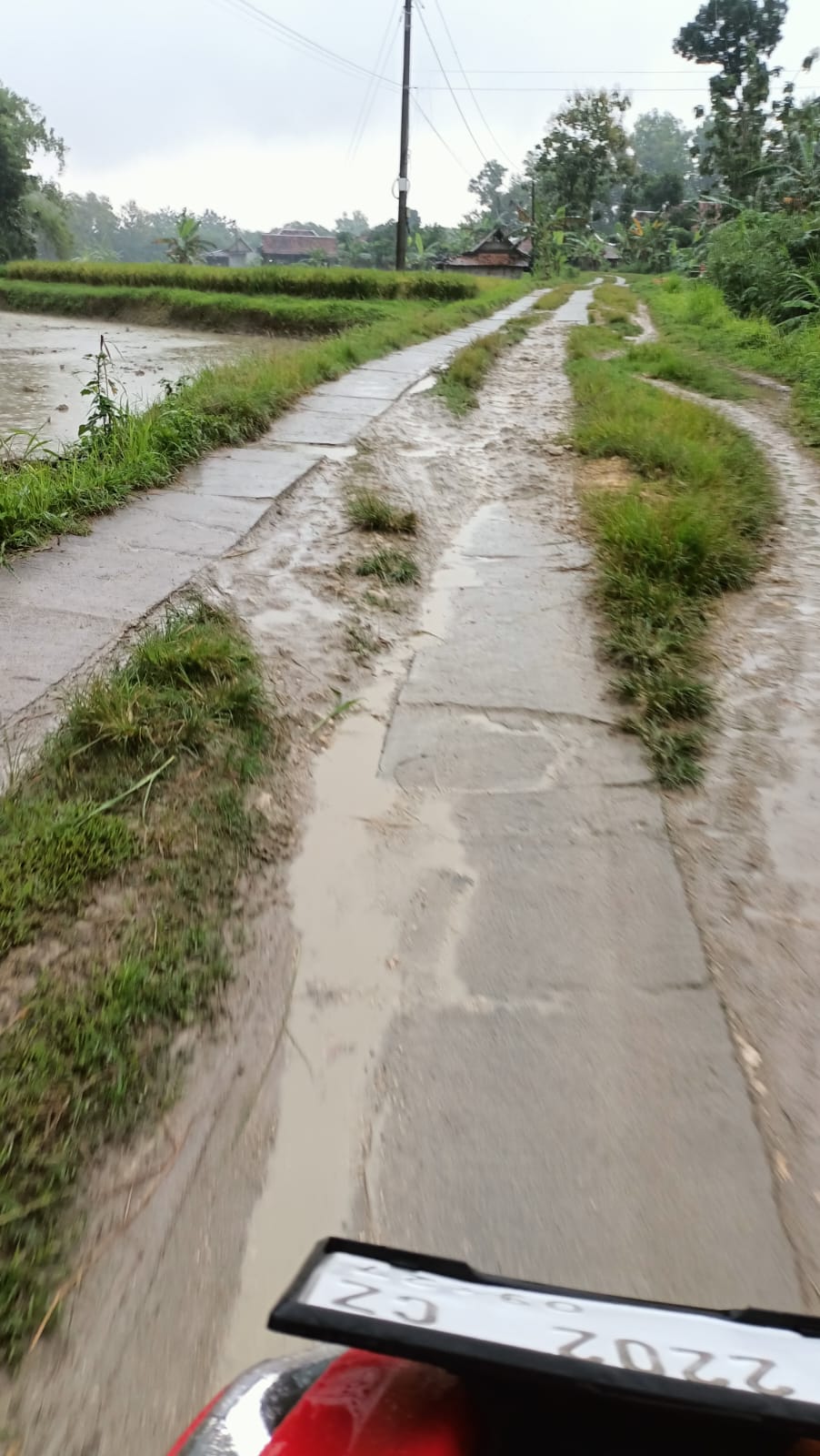 Foto Usulan