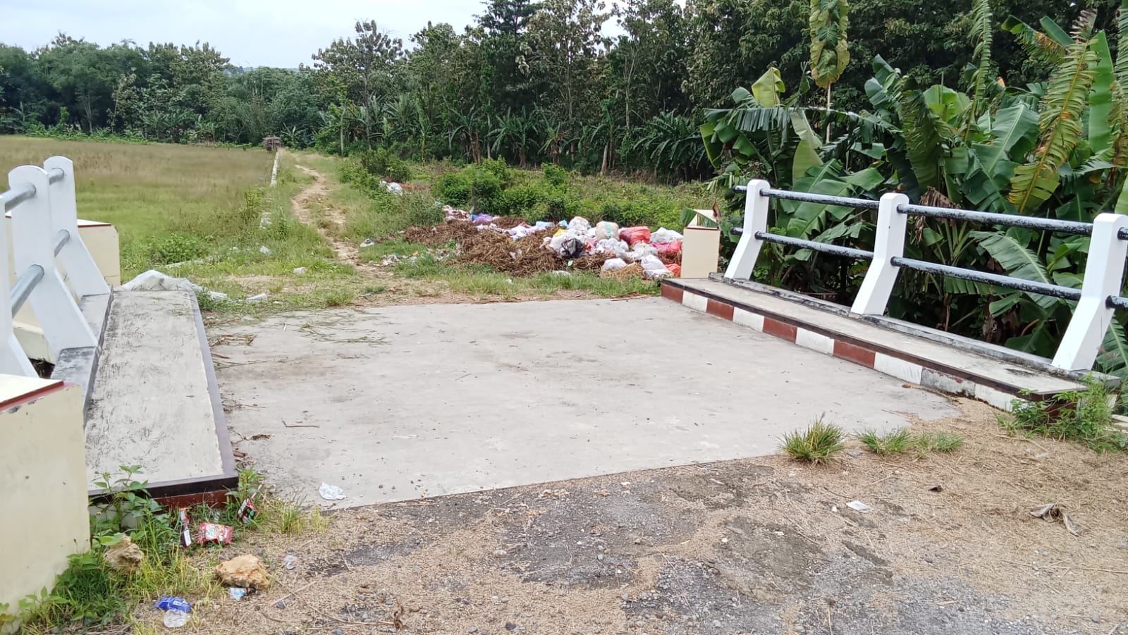 Foto Usulan