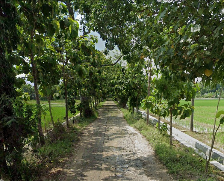 Foto Usulan