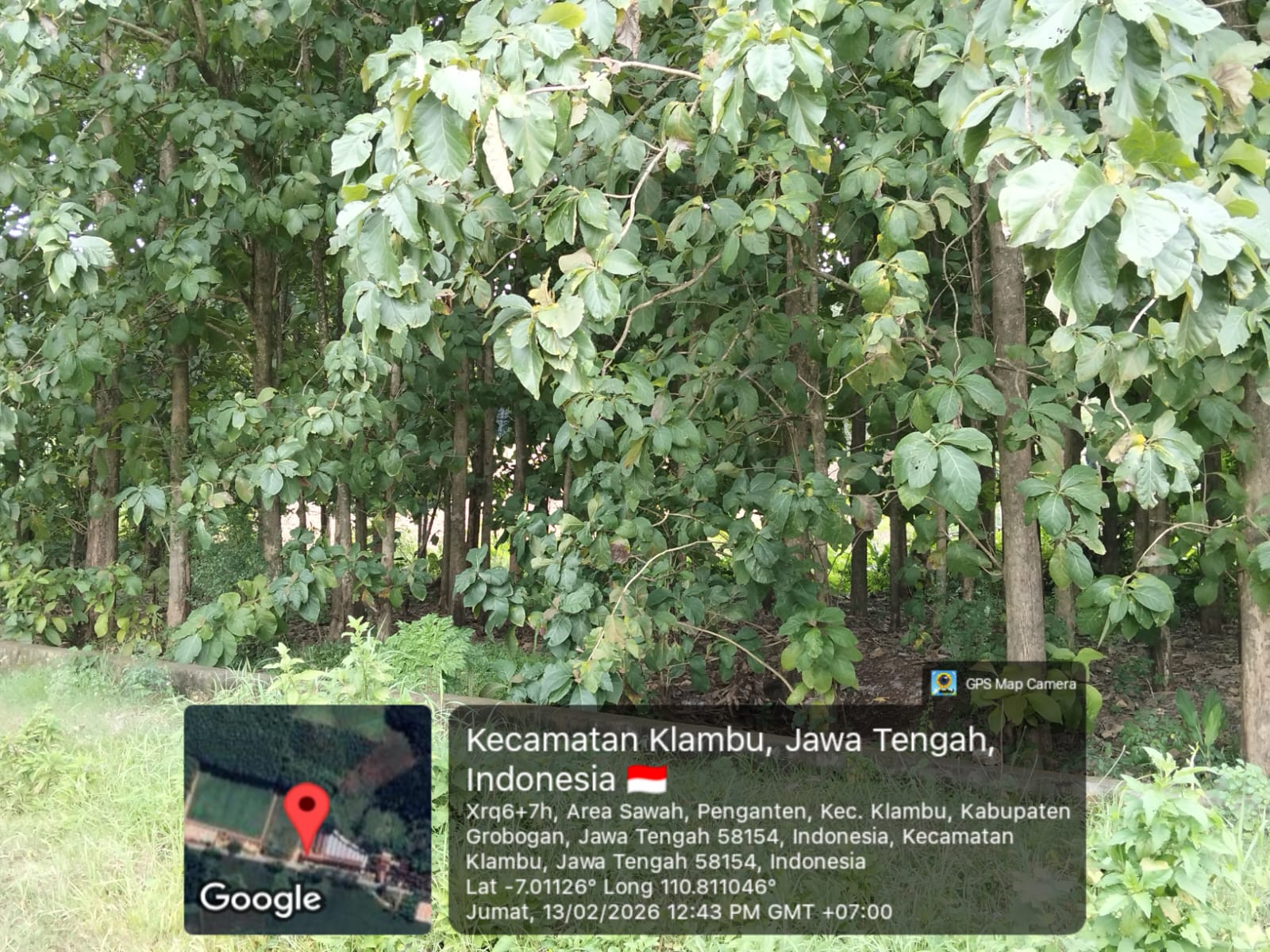 Foto Usulan