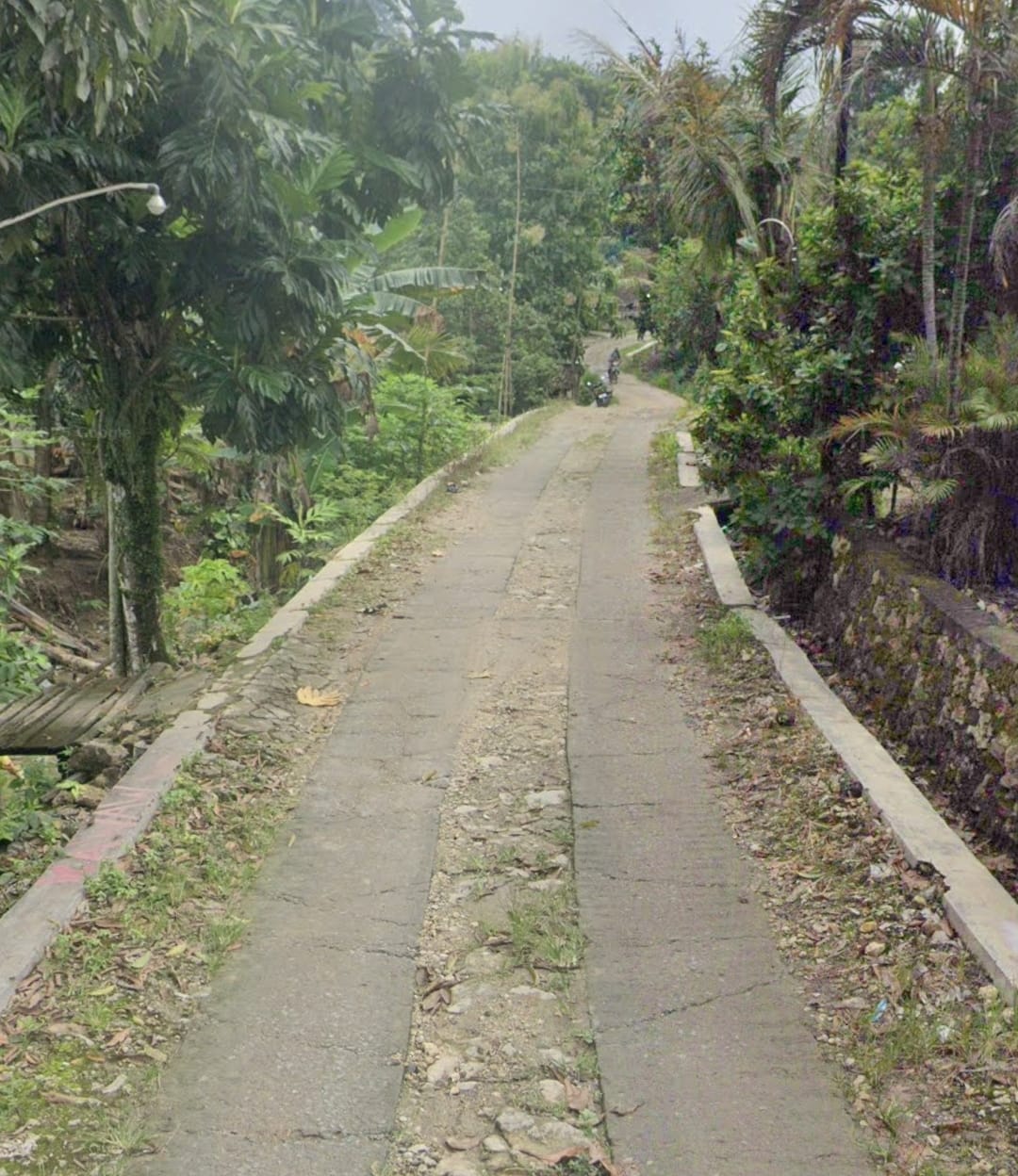 Foto Usulan
