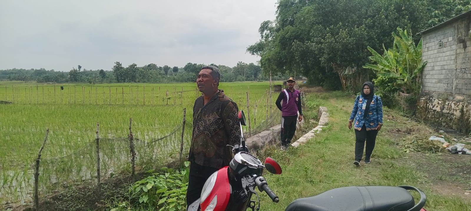 Foto Usulan